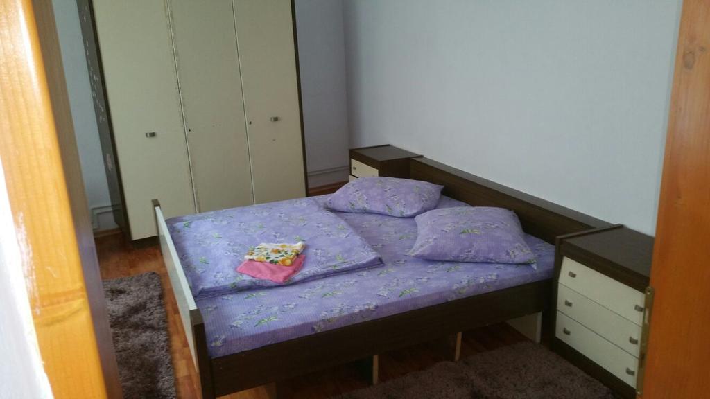 Casa Andra Hotel Cîrţişoara Buitenkant foto