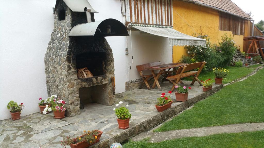 Casa Andra Hotel Cîrţişoara Buitenkant foto